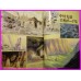 NAUSICAA Miyazaki ROMAN ALBUM ArtBook Libro JAPAN Ghibli
